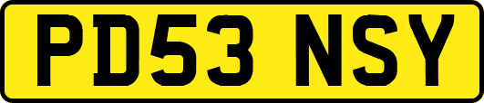 PD53NSY