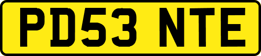 PD53NTE