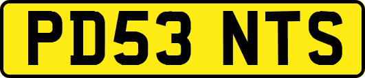 PD53NTS