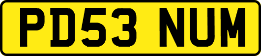PD53NUM