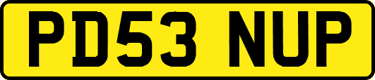 PD53NUP
