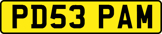 PD53PAM
