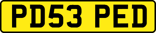 PD53PED