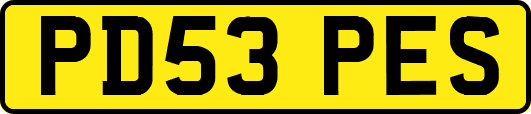 PD53PES