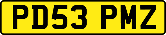 PD53PMZ