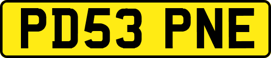 PD53PNE