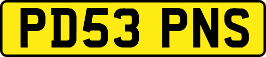PD53PNS