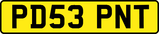 PD53PNT