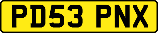 PD53PNX
