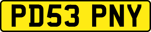 PD53PNY