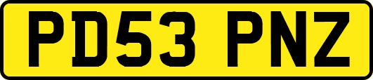 PD53PNZ