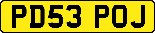 PD53POJ