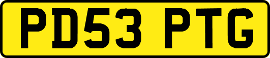 PD53PTG