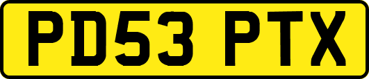 PD53PTX
