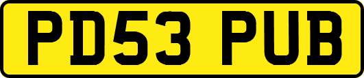 PD53PUB