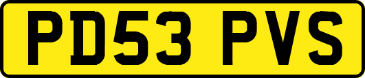 PD53PVS