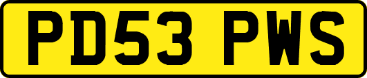 PD53PWS