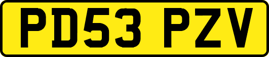 PD53PZV