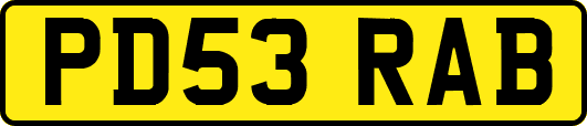 PD53RAB