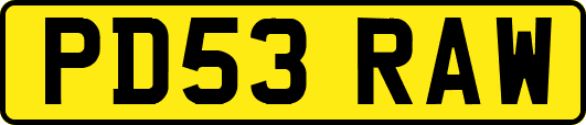 PD53RAW