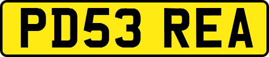 PD53REA