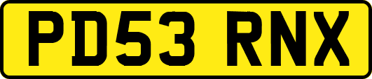 PD53RNX