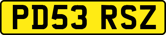 PD53RSZ