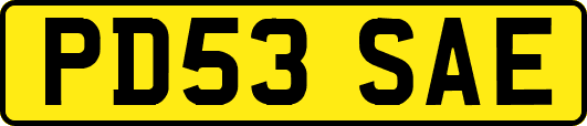 PD53SAE