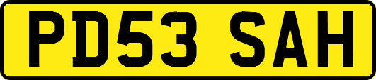 PD53SAH