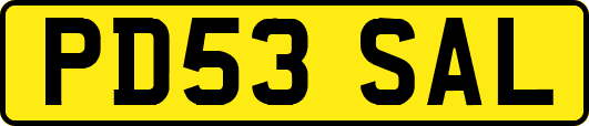 PD53SAL