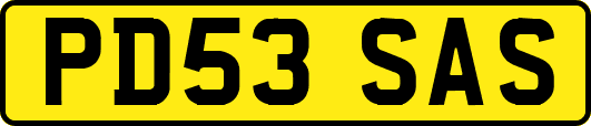 PD53SAS