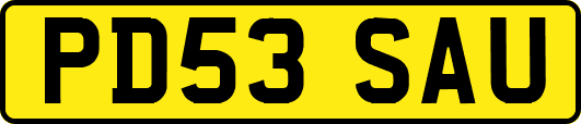 PD53SAU