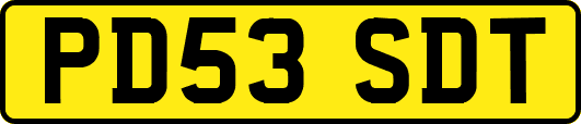 PD53SDT