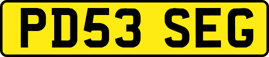 PD53SEG