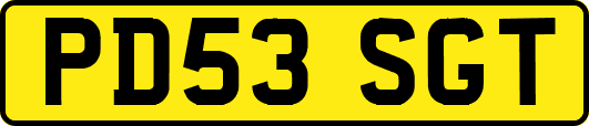 PD53SGT