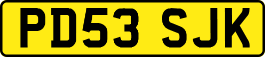 PD53SJK