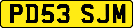 PD53SJM