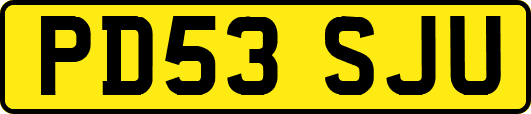 PD53SJU