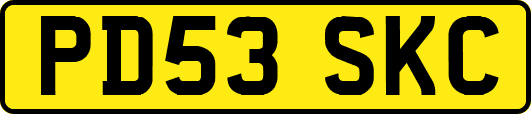 PD53SKC