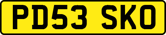 PD53SKO