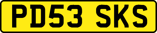 PD53SKS