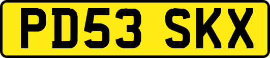 PD53SKX
