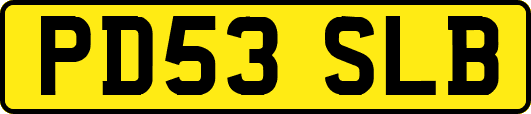 PD53SLB