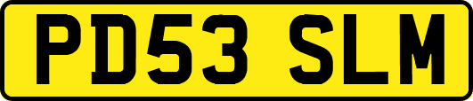 PD53SLM