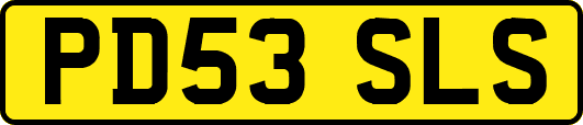 PD53SLS