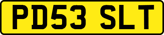 PD53SLT