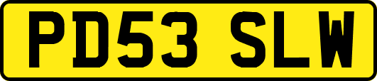 PD53SLW