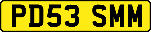 PD53SMM