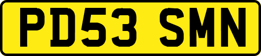 PD53SMN