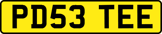 PD53TEE